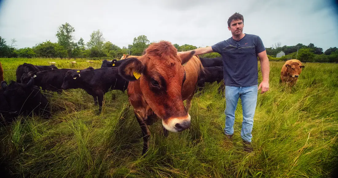 Fintan White with his cattle during filming for Bosco's Garden Tour